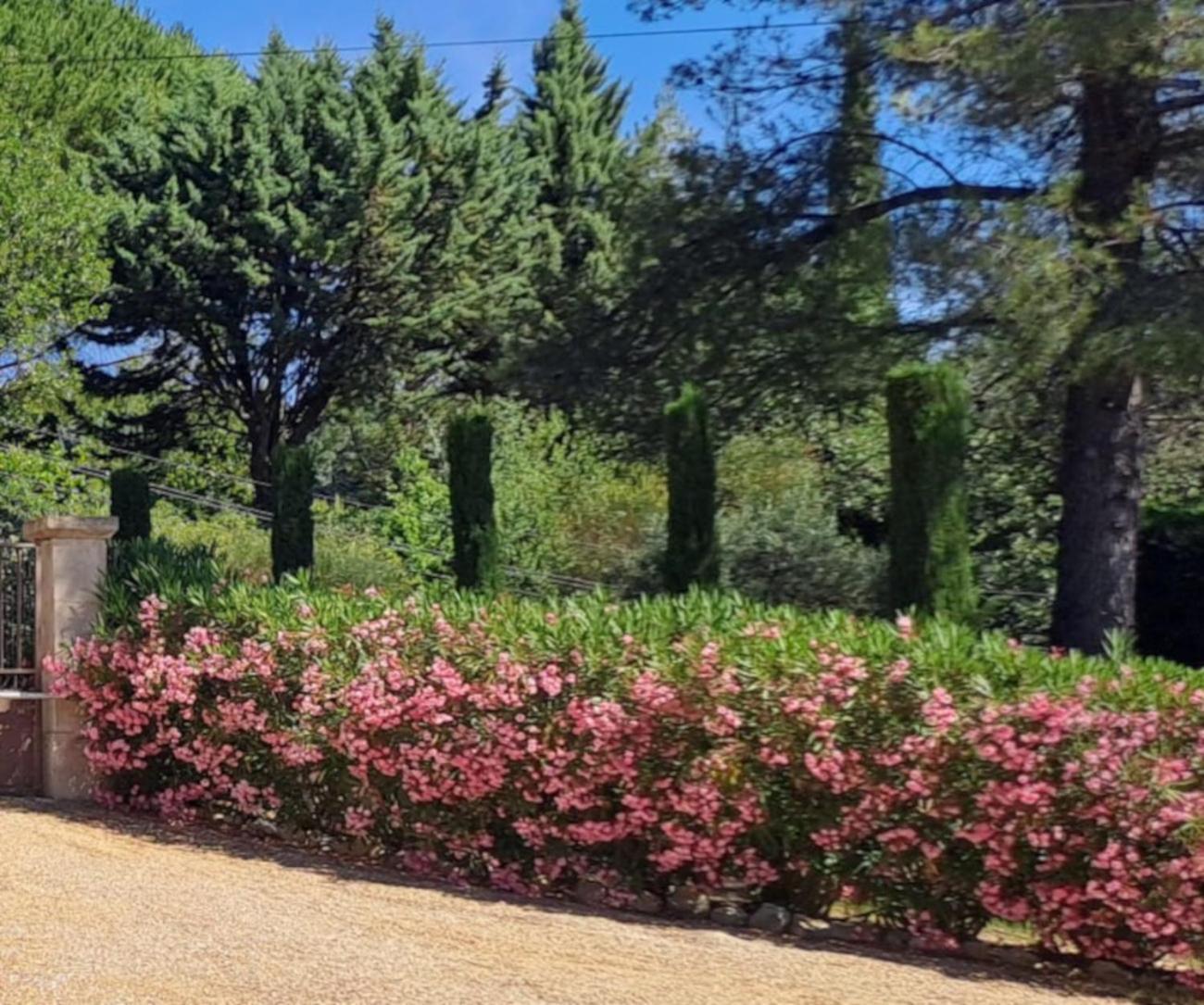 Les Cerises Bed and Breakfast Saint-Saturnin-d'Apt Buitenkant foto
